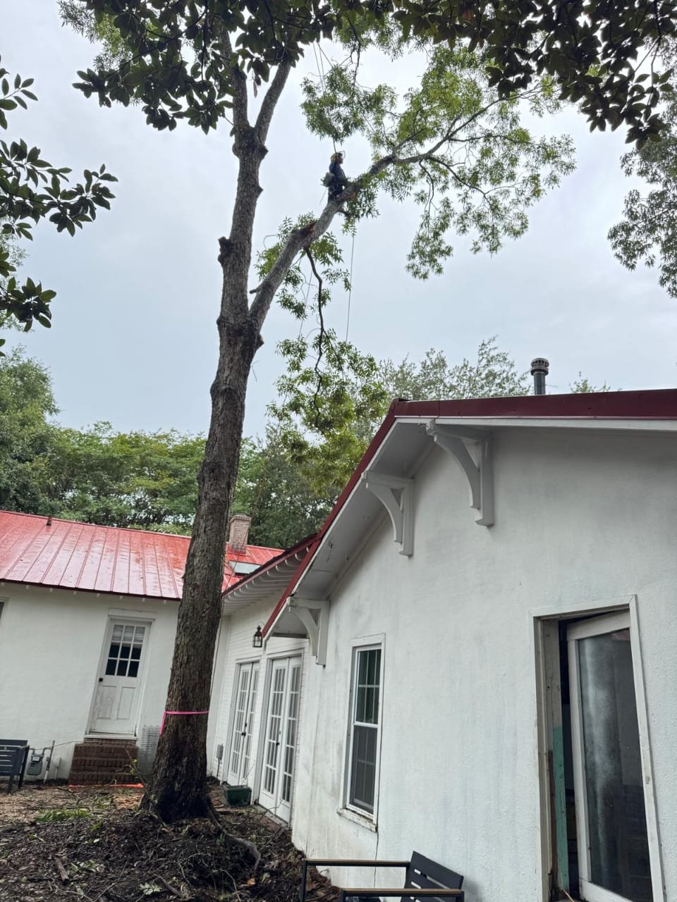 Lion Tree Service and Landscaping LLC project photo 26